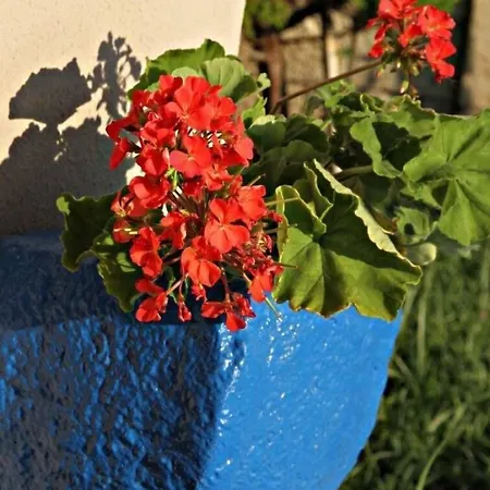 Hotell Fener Cafe & Kahvalti