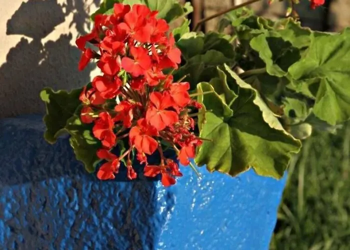 Hotel Fener Cafe & Kahvalti